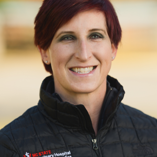 Headshot of Dr. Lauren Schnabel, Professor of Equine Orthopedic Surgery at NC State College of Veterinary Medicine.