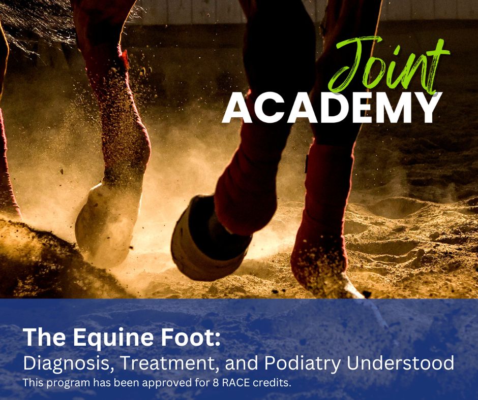 The Equine Foot: Diagnosis, Treatment, and Podiatry Understood ...