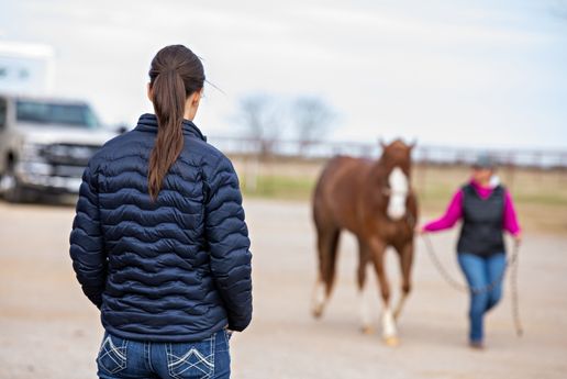 Poor Performance in the Sport Horse